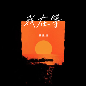 德国dsm打针女人奶上
